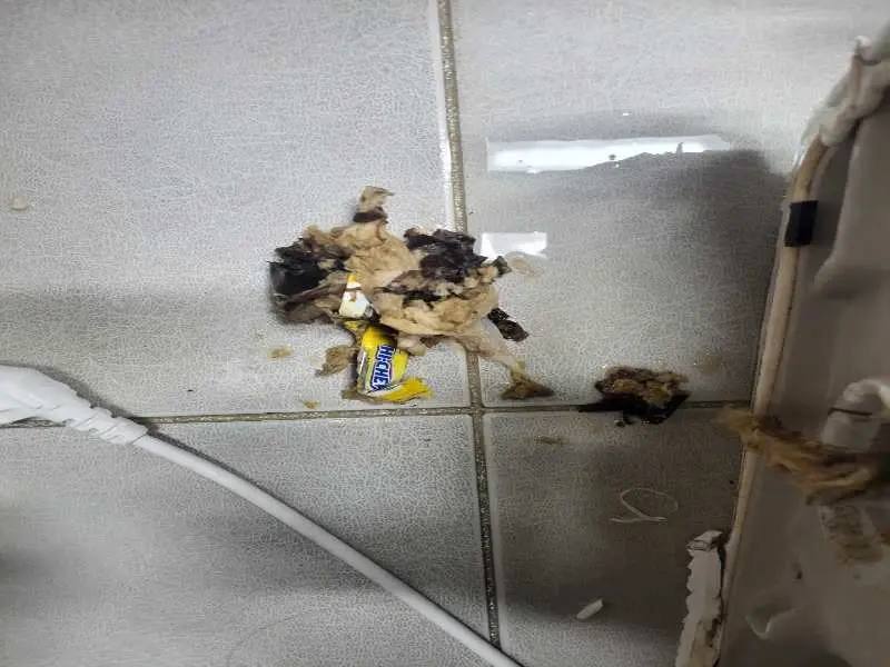 정자동 정화조막힘 작업 현장
